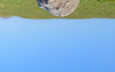 Staffage in Landscape (photo from catalogue 2)